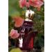 Parfums De Mystique- Women's Perfume - RED VELVET - Buy Online on GoSupps.com
