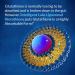 Intelligent Labs Liposomal Glutathione - Highly Advanced Setria Glutathione 500MG per Serving 30 Servings Per Bottle Soy Free - Buy Online on GoSupps.com