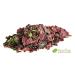 Organic Sea Algae Mix - Dried Atlantic Dulse & Nori Flakes | Vegan Umami Seaweed Blend | 50G Raw Superfood | PURERAW 2-Pack - Buy Online on GoSupps.com