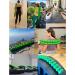 Vertebral Container for Lower Back Pain Relief | Decompressor with Support Strap & Storage Bag - Green - Buy Online on GoSupps.com