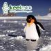 Deluxe Paws Plush Eco Toy - Emperor Penguin | 100% Recycled & Cuddly Soft - Buy Online on GoSupps.com