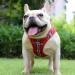 Suredoo Dog Harness for Small Dogs - Reflective Breathable with Leash & Anti-Train Design | Perfect for Small & Medium Dogs (L Red Checked) - Buy Online on GoSupps.com