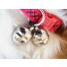 Falconry Lahore Nickel plated Bells (pairs)(size 9) - Buy Online on GoSupps.com
