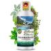 Nordholz sauna infusion choose from 48 varieties 100ml - sauna infusion agent #20 Swiss herbs Special & natural sauna fragrance for intensive & relaxing moments - perfect sauna accessories