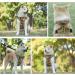 Eyin Adjustable Dog Harness for Large Dogs - Breathable Reflective Padded with Handle | Camouflage Green | Perfect for Daily Training - Buy Online on GoSupps.com