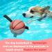 Hetoo Interactive Dog Toys - Basketball Tug-of-War Durable Balls & Puppy Gift for Small to Medium Dogs - Buy Online on GoSupps.com