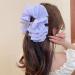 LONGLUAN Bow Bubble Clips Chiffon Silk Bubble Bow Hair Claw Jaw Clip Layered Bubble Mesh Tulle Fluffy Hair Clips Large Claw Clips for Thick Hair (2pcs-B) - Buy Online on GoSupps.com