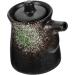Zerodeko Soy Sauce Pot Vinegar Pot Liquid Containers Oil-brushing Bottle Vinegar Container Salad Dressing Dispenser Japanese Decor Condiment Jar Oil Decanter Spray Syrup Ceramics 10X8.5X7CM Green - Buy Online on GoSupps.com