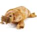 Zappi Co Safari Animals Plush Toy - 33cm Walrus Stuffed Animal for Kids - Buy Online on GoSupps.com