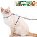 Supet cat dishes with a leash outbreak-proof adjustable cat dishes for large and small cats slightly kitten dishes kitten cat leash and dishes set for walking (green m) m (chest size: 28-48cm) green)