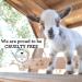 Dionis Goat Milk Skincare 6oz Creamy Coconut & Oats Hand & Body Bar Soap - Moisturizing & Restorative for All Skin Types - Non Greasy, No Residue - Cruelty Free & Paraben Free - Made in USA - Buy Online on GoSupps.com
