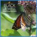 Black Jewell Blue Ribbon White Gourmet Popcorn Kernels 28.35oz - Pack of 1 - Buy Online on GoSupps.com