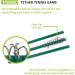 Champion Sports TTGAME Tetherball Tennis Swingball Outdoor Game for Kids & Adults - Backyard Tether Kit with Tennis Ball and Paddle Set - Buy Online on GoSupps.com