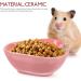 POPETPOP Ceramic Hamster Feeding Bowls Strawberry Pattern Hamster Food Bowl for Guinea Pig Rodent Rat Gerbil Cavy (random color) - Buy Online on GoSupps.com