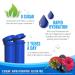 Zipfizz Healthy Sports Energy Mix - Vitamin B12 Blueberry Raspberry (20 Tubes, 0.39 oz each) - Buy Online on GoSupps.com