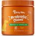 Zesty Paws Probiotic Chews for Dogs - Gut Flora & Immune System Support - Premium DE111 Bacillus subtilis - Pumpkin Flavour - 90 Count Pumpkin 90 Count - Buy Online on GoSupps.com