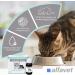 alfavet ReConvales Tonicum Cat Dietary Food Supplement Stimulating the Appetite for Convalescence and in Cases of Underweight 6 x 45 ML - Buy Online on GoSupps.com