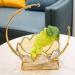 Kitchen Countertop Fruit Rack Fruit Basket Crystal Glass Elegant Fruit Basket with Alloy Holder Fruit Dessert Snacks Bowl Serving Bowl for Counter Fruit Trays for Party Onecolor - Buy Online on GoSupps.com