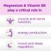 Amvilab Magnesium and Vitamin B6 - Helps Maintain Muscle Health - Supports Brain Health & Nerve Function - Helps Daily Vitality & Sleep Quality - Recovery Boost - Dietary Supplement - 100 Tablets - Buy Online on GoSupps.com