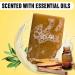 Ness Sandalwood & Sage Men's Soap Bar - Organic Ingredients, Essential Oils, Handmade in USA | Moisturizing, Cruelty-Free, Vegan | 5 oz - Buy Online on GoSupps.com