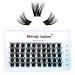 Individual Lashes D Curl Cluster Lashes 0.07mm 14mm DIY Lash Extensions Wide Stem Individual Eyelash Clusters Reusable Soft and Wispy Clusters Eyelash Extensions(FD-ZW06-0.07-D-14) RR-14mm ZW06-0.07-D