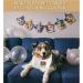 JXGZSO 1 Piece Cute Fall Dog Bandana Talk Turkey to Me Funny Thanksgiving Dog Bandana (Talk Turkey D CA) - Buy Online on GoSupps.com