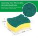 19-Piece Kitchen Sponge Set & 2-in-1 Dish Soap Dispenser - Essential Kitchen Tools for Easy Dishwashing - Buy Online on GoSupps.com