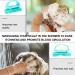 Goohochy Silicon Shampoo Brush for Women - Scalp Massager & Hair Cleaning Device - Blue 10.5x7x5.5cm - Ideal for Head Massage & Laundry Collector - Buy Online on GoSupps.com