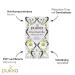 Pukka Organic Herbal Tea Three Chamomile | 80 Tea Bags | African Egyptian & European Chamomile for Calm Moments | 4 Pack - Buy Online on GoSupps.com