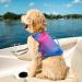 Vivaglory Light Lifeguard Dog Vest - Skin-Friendly Neoprene Swimming Vest for Small Dogs - Pink & Blue - Quick Lock & D-Ring - Size S (Chest 48-56cm) - Buy Online on GoSupps.com