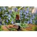 MABUA Rosemary Oil (Rosmarinus officinalis) 100% Pure Natural Therapeutic Grade 120 mL (4 oz) - Buy Online on GoSupps.com