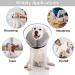 WinMany Adjustable Dog Cat Recovery Cone - Inflatable Protective Collar for Post-Operation Care | Scratch Prevention - Blue (L) - Buy Online on GoSupps.com