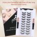 TFHAllOSTYLE 3D Magnetic Eyelashes with Eyeliner Kit 2 Tubes of Magnetic Eyeliner Nature Look No Glue & Tweezers 10 Pairs Natural Wispy Fluffy 3D Effect False Eyelashes (101) - Buy Online on GoSupps.com