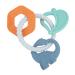 Nuby Chewy Charms Teething Ring  100% Silicone  BPA Free  3+M  Dino