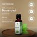 Pennyroyal Oil (Mentha Pulegium) Essential Oil 100% Pure Natural Undiluted Uncut Therapeutic Grade Oil 3.38 FL.OZ - Buy Online on GoSupps.com