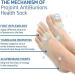 Orthopedic Bunion Relief Socks - Toe Alignment & Compression for Bunions - 5/10 Pairs - Buy Online on GoSupps.com