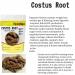 SENTA Costus Root | Indian Costus Root | Qust - Al - Hindi Root | - (100 gm) - Buy Online on GoSupps.com