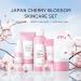 Sakura Facial Care Gift Set for Teenage Girls - Preppy Skincare Kit with Cleanser, Toner, Serum, Face Cream, and Eye Cream - All Skin Types - Women's Gift Sets (Gift Box) - Buy Online on GoSupps.com
