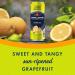 San Pellegrino Sparkling Fruit Beverages Variety Pack - 12 Pack Grapefruit - 11.15 Fl Oz Cans - Sanisco Box - Buy Online on GoSupps.com