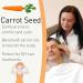 Sensoli Carrot Seed Essential Oil - 100% Pure and Natural for Skin Care and Aromatherapy - Buy Online on GoSupps.com