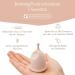 BAMBOOZY LUXUS Menstruation Cup with Sterilizer - Reusable Medical Silicone 12-Hour Protection Sustainable Plastic-Free BPA-Free - Buy Online on GoSupps.com