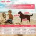 Emust Dog Vest for Swimming - High Buoyancy Ripstop Life Jacket for Small & Medium Breeds (Medium Red) - Perfect for Pools & Boats - Buy Online on GoSupps.com