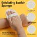 2PCS Eco-Friendly Biodegradable Exfoliating Loofah Sponge Set | Skin Shower Luffa Sponge-Pad Back Brush | Daily Bath Spa Essential for Women Men | Natural Loofah - Buy Online on GoSupps.com