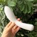 Natural White Jade Crystal Quartz Stone Massage Stick - 1 Piece | International Shipping Available - Buy Online on GoSupps.com