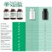 Natural Nutra Ginkgo Biloba Improves Circulation to The Brain and Boosts Memory Cognitive Functions Increases Oxygen Flow Enhancing Mental Performance Vegan and Gluten Free (60) Capsules - Buy Online on GoSupps.com