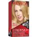 Revlon Colorsilk Ammonia Free 74 Medium Blond - Buy Online on GoSupps.com