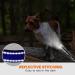 Taglory Soft Padded Neoprene Dog Collar for Small Dogs | Adjustable & Reflective | Dark Blue S (1 Pack) - Perfect for Training - Buy Online on GoSupps.com