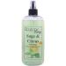 Sage And Citrus Body Spray (Double Strength) 16 ounces Body Mist for Women with Clean Light & Gentle Fragrance Long Lasting Perfume with Comforting Scent for Men & Women Cologne with Soft Subtle 16 Fluid Ounces (Double Strength)