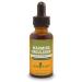 Herb Pharm Warming Circulation Liquid Herbal Formula for Cardiovascular and Circulatory Support - 1 Ounce (FGINGER01) 1 Fl Oz (Pack of 1)