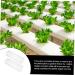 Milisten 6 Pcs Square Cucumber Molds Vegetables Fruit Avocado Tool Cucumber Shaping Mold Garden Tools Gourd - Buy Online on GoSupps.com